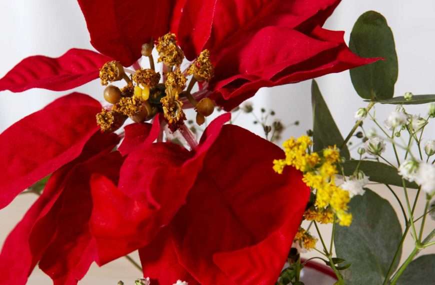 MARANATHA NA HRVATSKOM