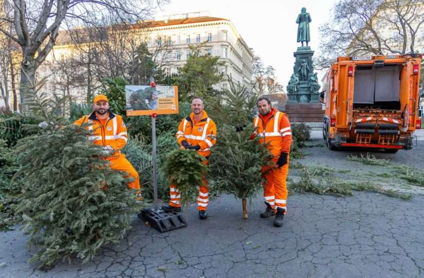 Novi život bečkih božićnih drvaca