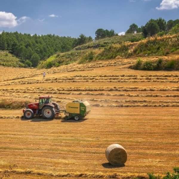 Rok za prijavu kandidata za Skupštinu HPK ističe 31. siječnja