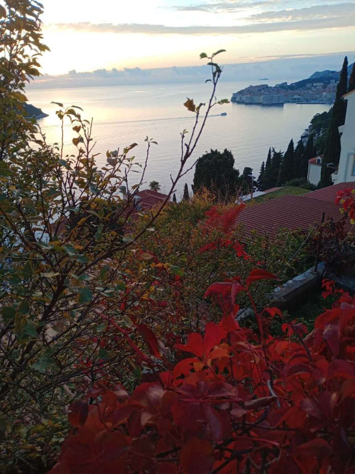 Motivi arhitekture u ciklusu fotografija Tea Trostmanna