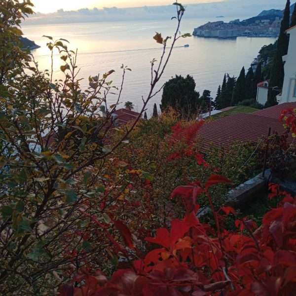 Motivi arhitekture u ciklusu fotografija Tea Trostmanna