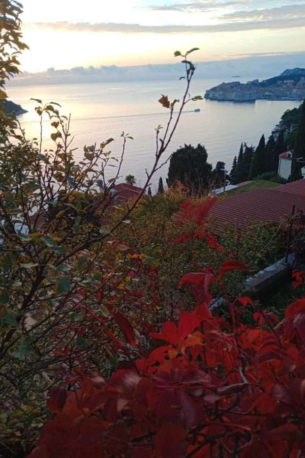 Motivi arhitekture u ciklusu fotografija Tea Trostmanna