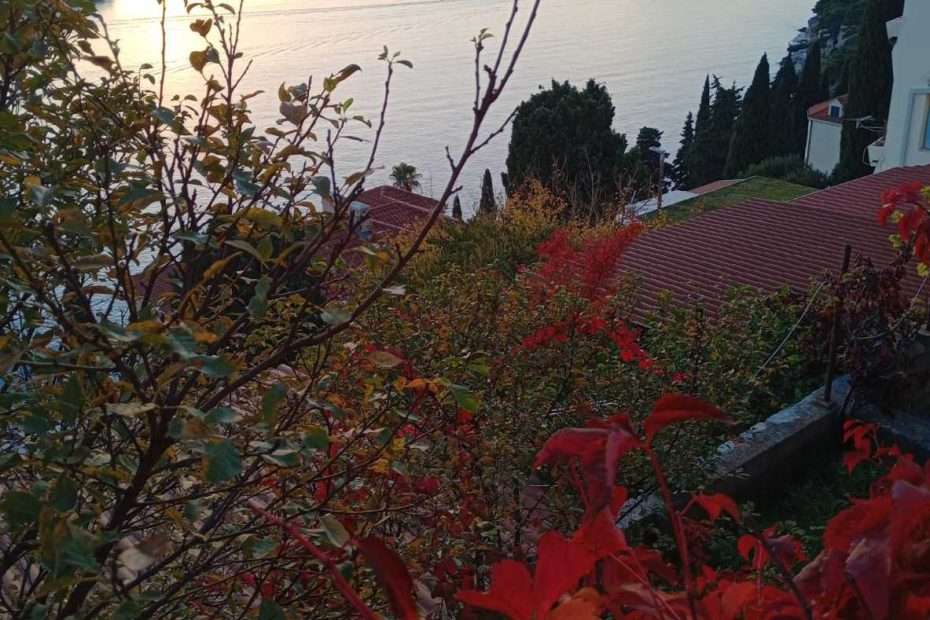 Motivi arhitekture u ciklusu fotografija Tea Trostmanna