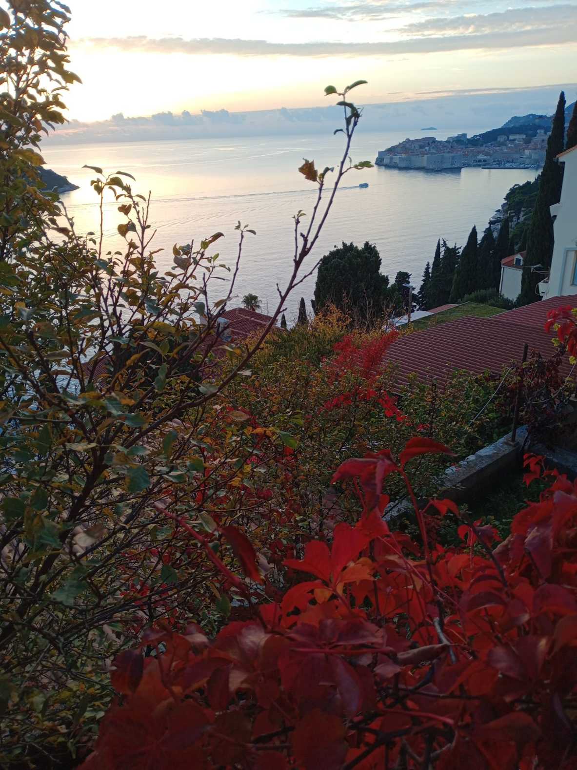 Motivi arhitekture u ciklusu fotografija Tea Trostmanna