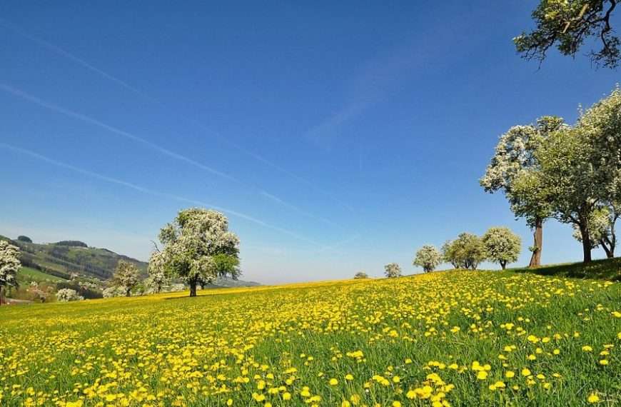 HPK – Za Skupštinu komore 109 kandidata