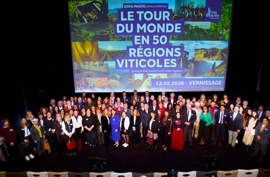 Fotografija istarskog vinograda među 50 svjetskih pejzaža na izložbi muzeja Cité du Vin