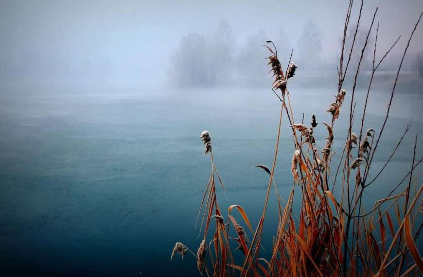 Ciklus zimskih krajobraza Ivane Žerovnik