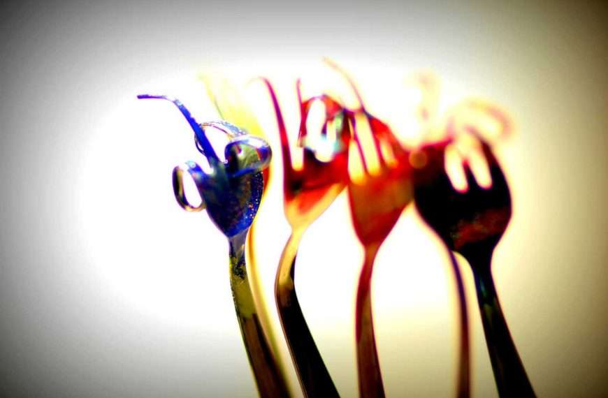 RAZIGRANE VILICE – Novi ciklus fotografija Ivane Žerovnik