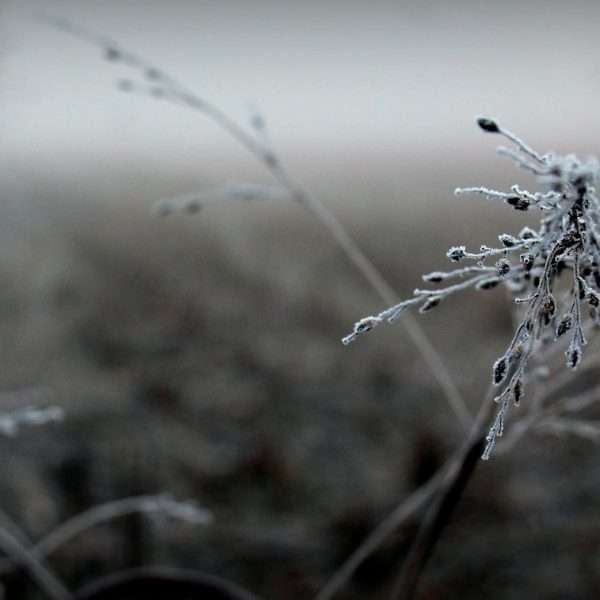 Magla u novom ciklusu fotografija Ivane Žerovnik