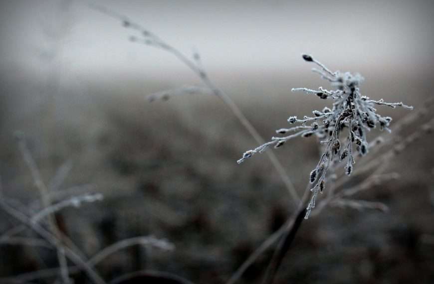 Magla u novom ciklusu fotografija Ivane Žerovnik