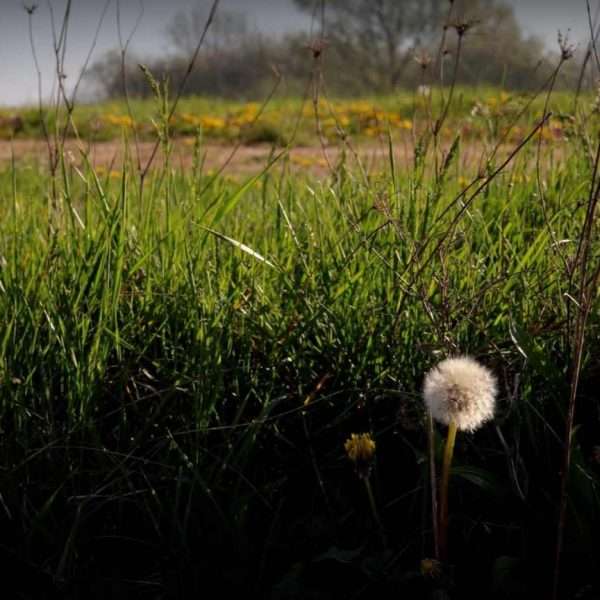 Magična jednostavnost trenutka Ivane Žerovnik