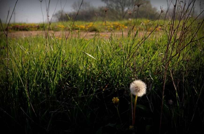 Magična jednostavnost trenutka Ivane Žerovnik