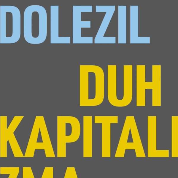 Prilog o knjizi DUH KAPITALIZMA