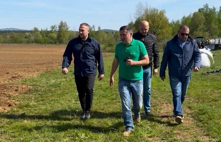 Ministar Vlajčić posadio čuvanu sortu krumpira Koravca