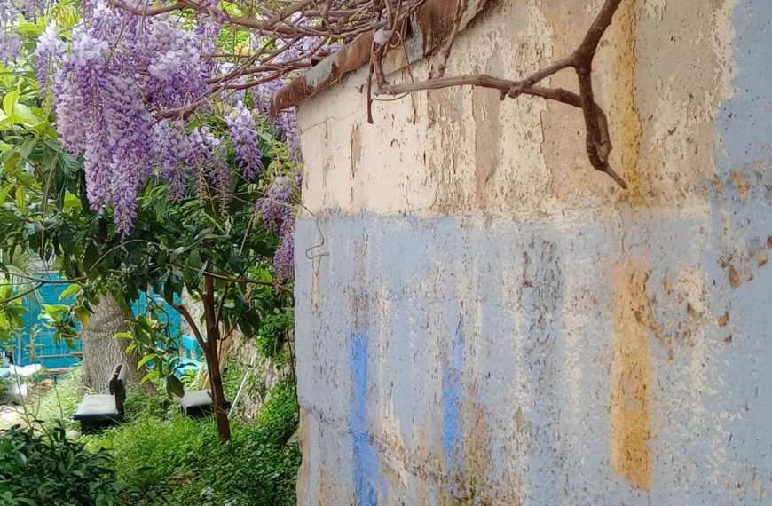 Ciklus fotografija posvećen dubrovačkoj arhitekturi Tea Trostmanna