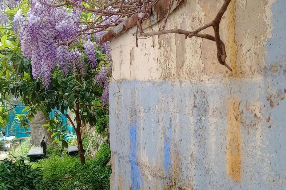 Ciklus fotografija posvećen dubrovačkoj arhitekturi Tea Trostmanna