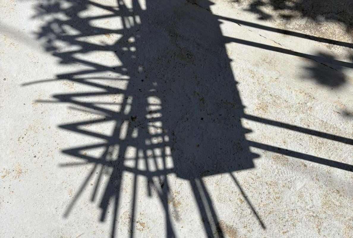 Žive grafike ili sjene skulptura Hame Čavrka