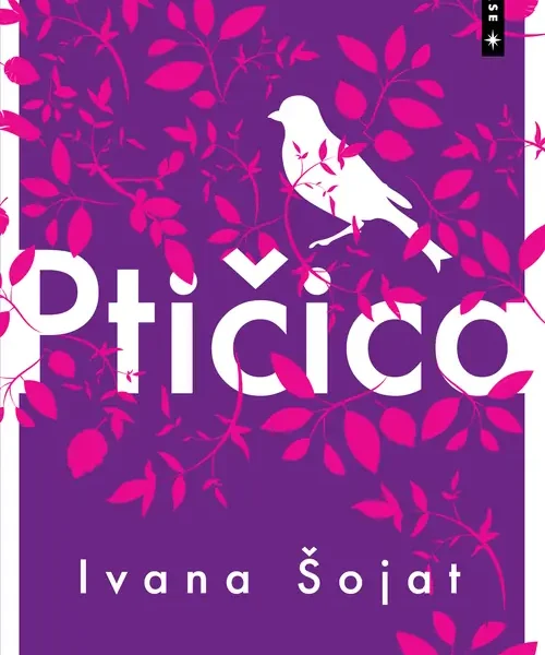 Prilog o knjizi PTIČICA