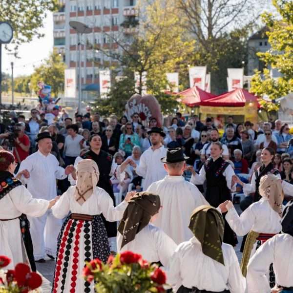 U Vukovaru uspješno održan 8. festival „SVI zaJEDNO HRVATSKO NAJ”
