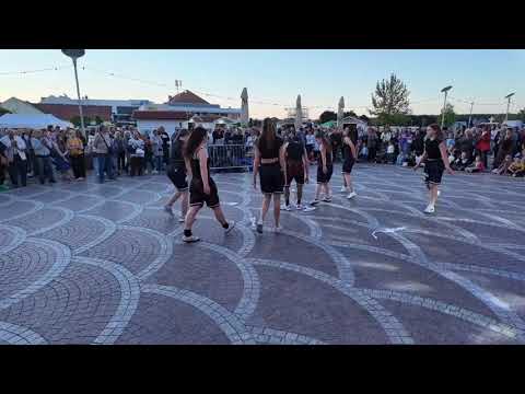 Naša Slavonija i Baranja – naš dom / FOTO, VIDEO