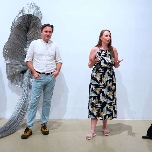 Krpama, prstima, kistom i osjećajem – Izložba Ivana Midžića otvorena u Galeriji Galženica