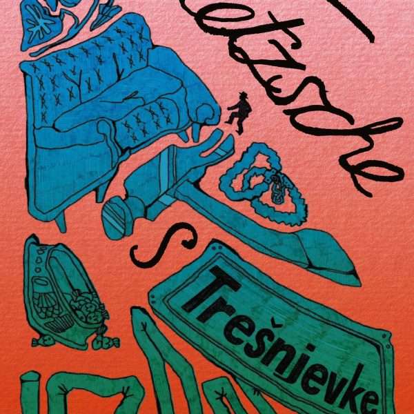 Prilog o knjizi NIETZSCHE S TREŠNJEVKE