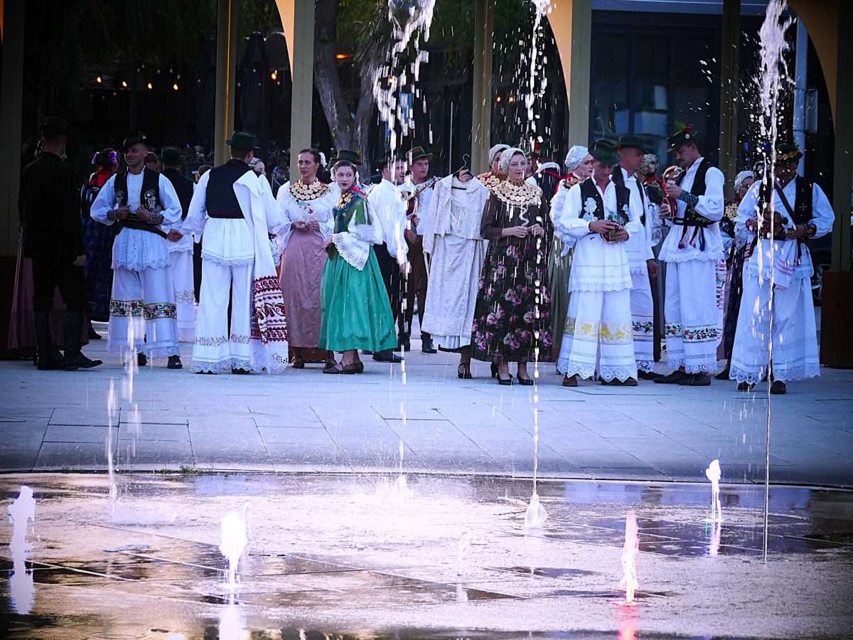 61. vinkovačke jeseni „vlak slavonske ravnice”