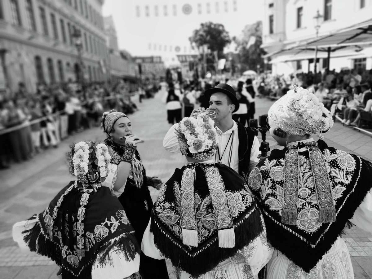 akademija‑art zagreb na 61. vinkovačkim jesenima (1)