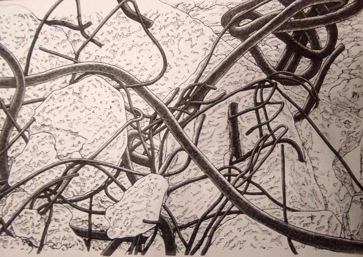 botev heartcore tuš na papiru,100x140, 2026. detalj 2 50x70