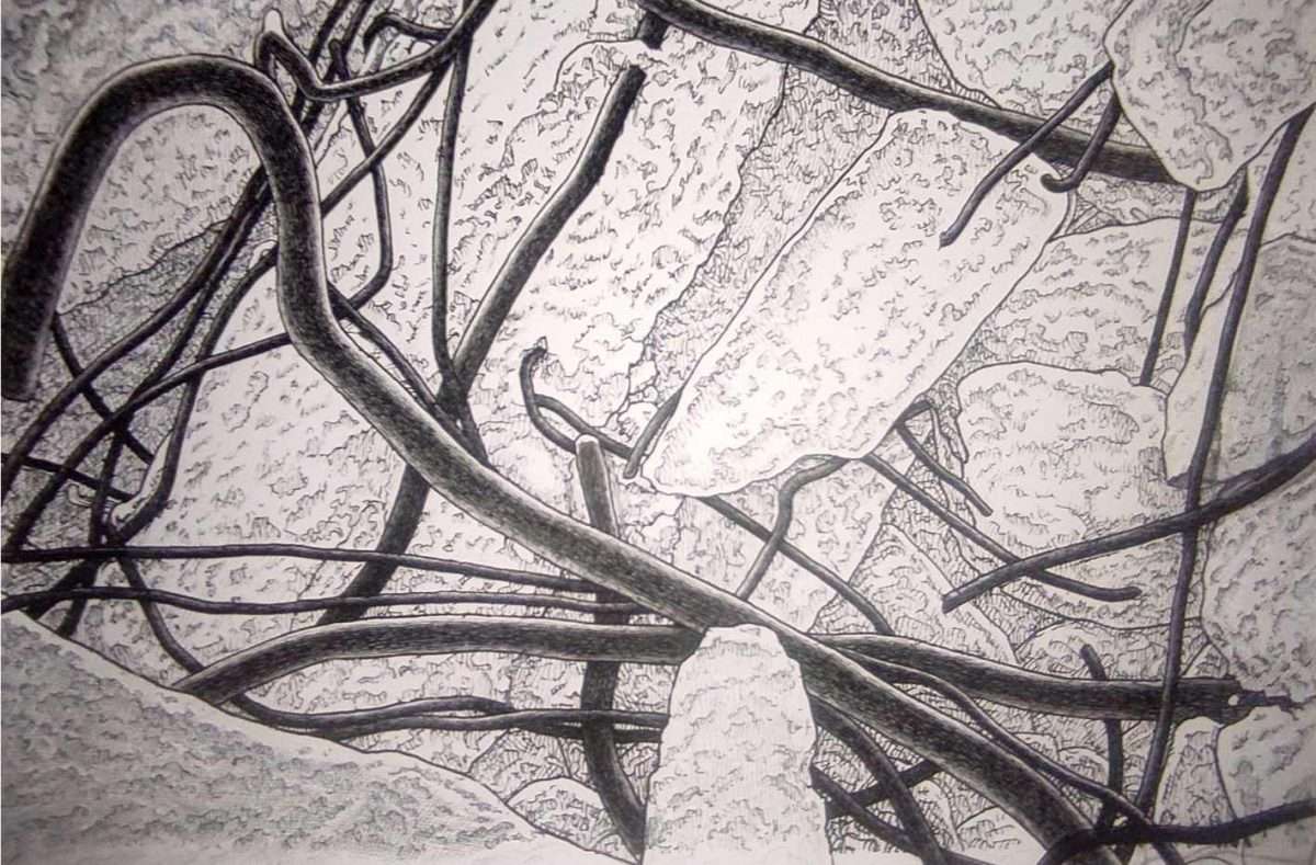 botev heartcore tuš na papiru,100x140, 2026. detalj 50x70