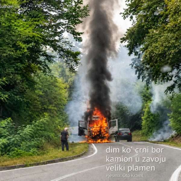 prim dr oto kraml fotohaiga aa