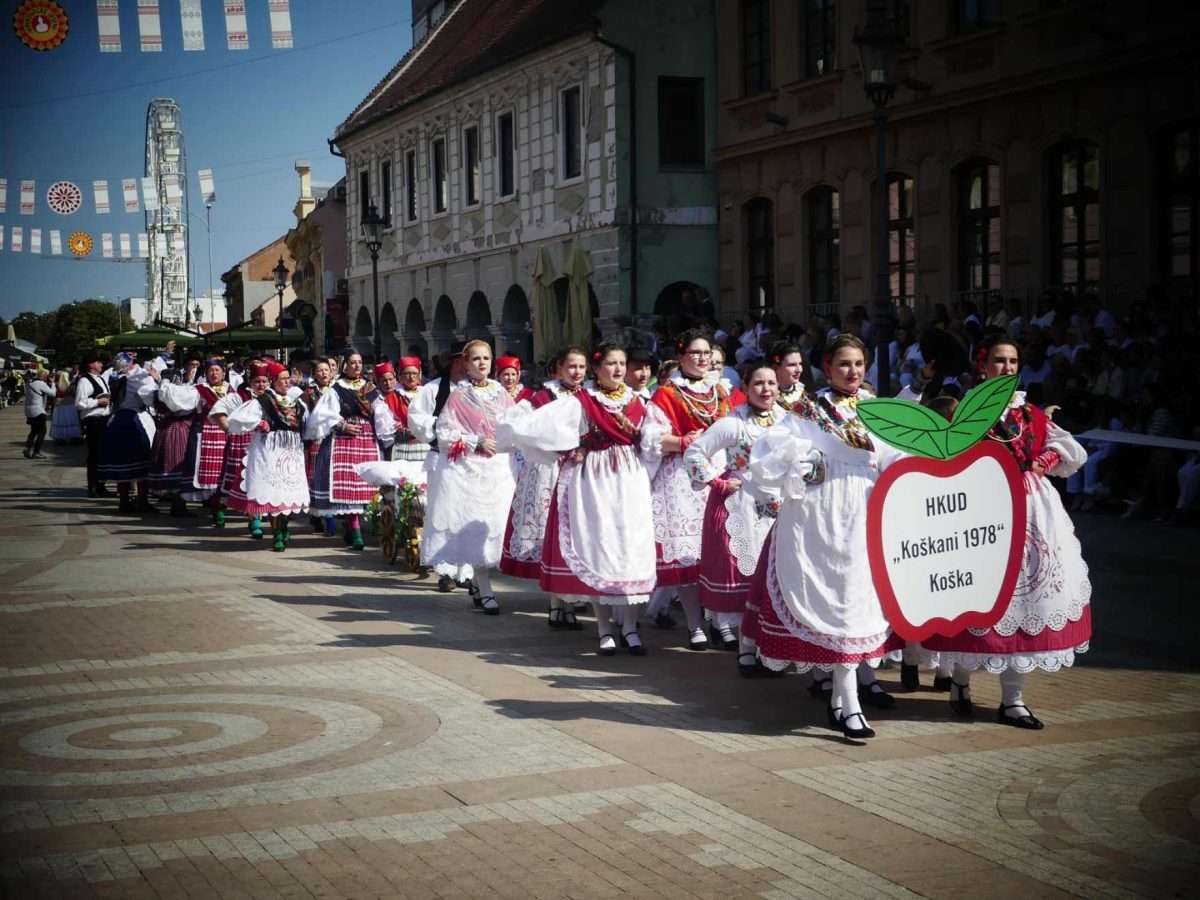 rujan bez jeseni nezamisliv je u vinkovcima (10)