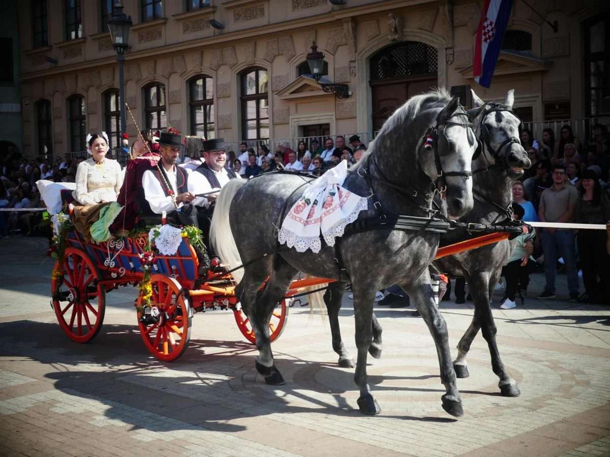 rujan bez jeseni nezamisliv je u vinkovcima (13)