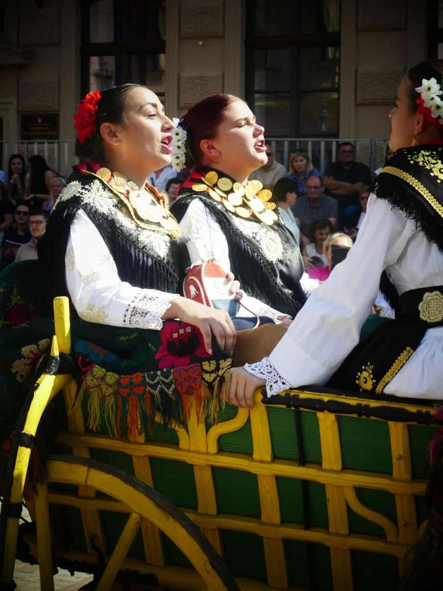rujan bez jeseni nezamisliv je u vinkovcima (17)