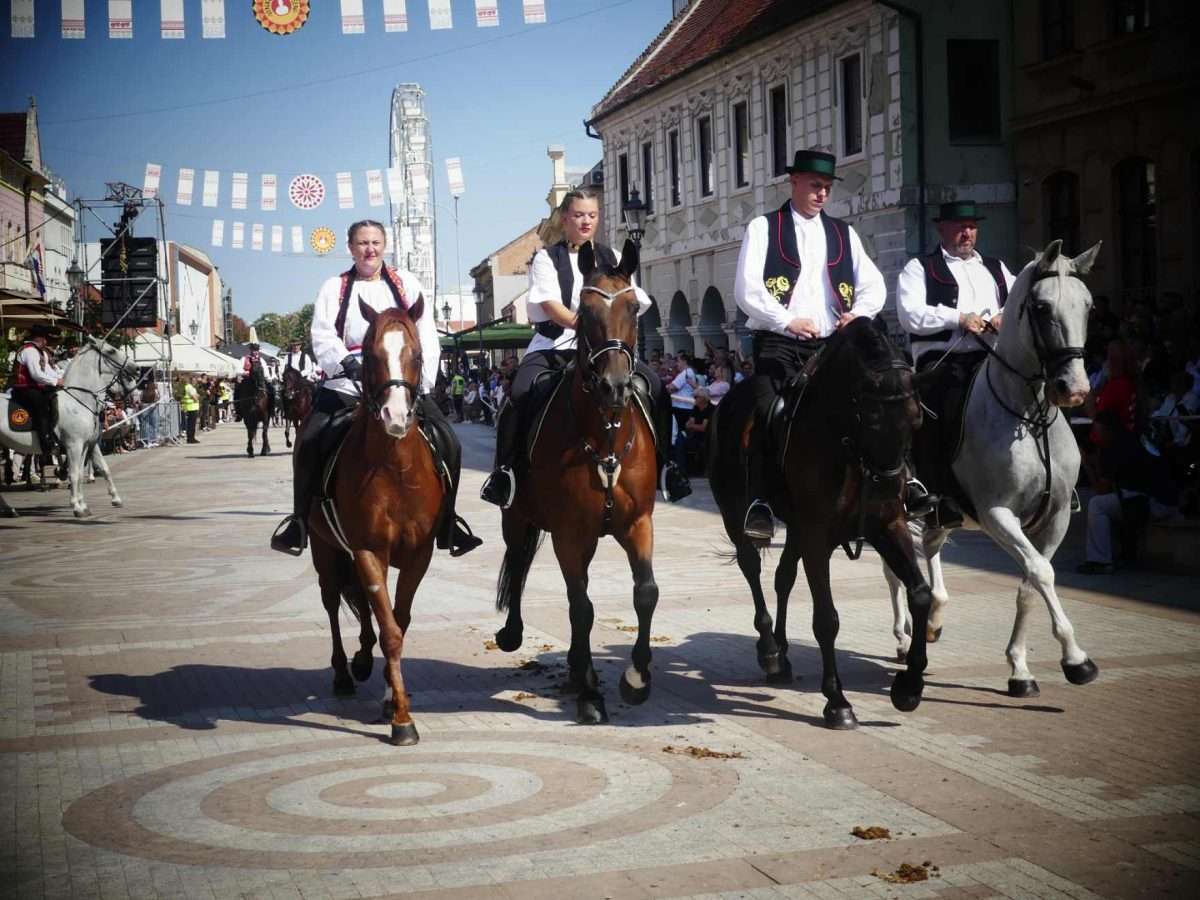 rujan bez jeseni nezamisliv je u vinkovcima (20)