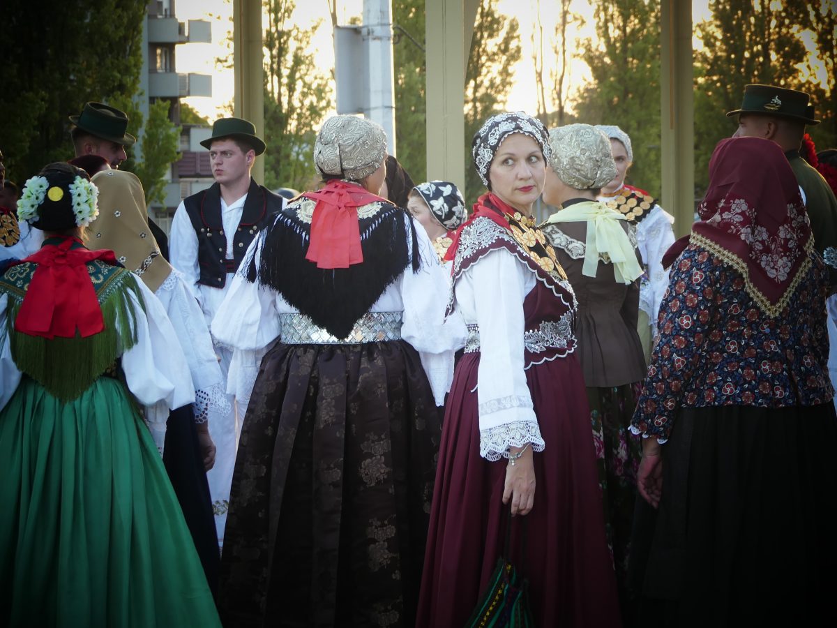 sitno brojimo vinkovci već žive jeseni (7)