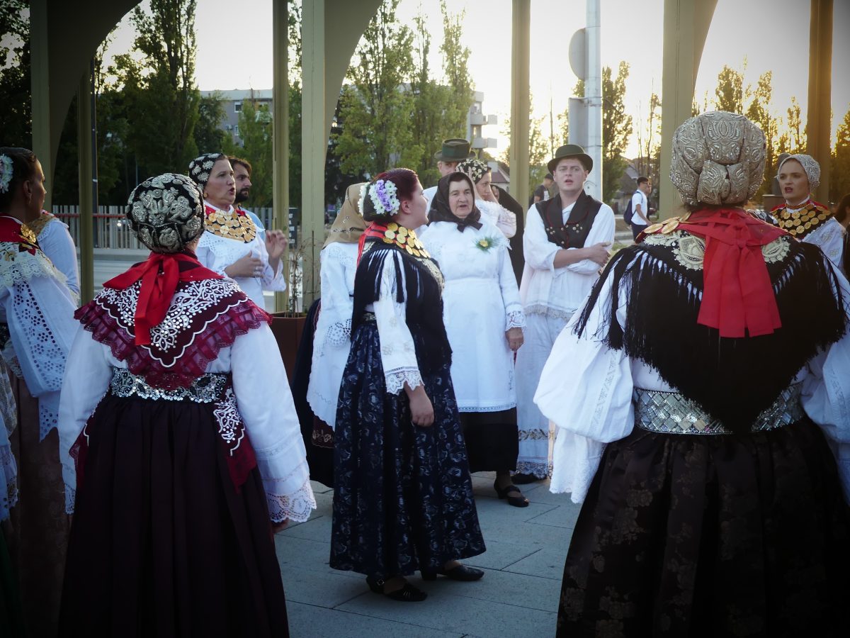 sitno brojimo vinkovci već žive jeseni (8)