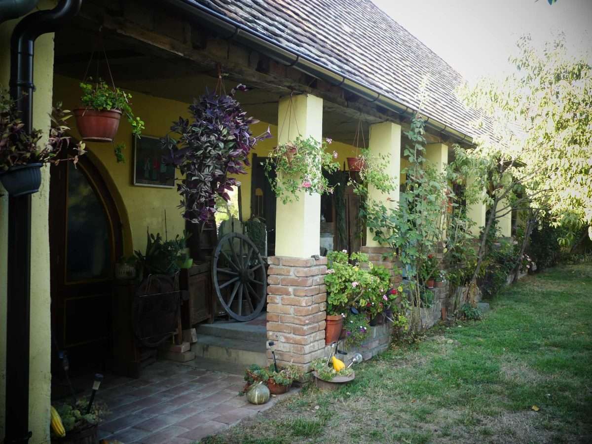 snašini kućari – gradište čuva svoju dušu (12)