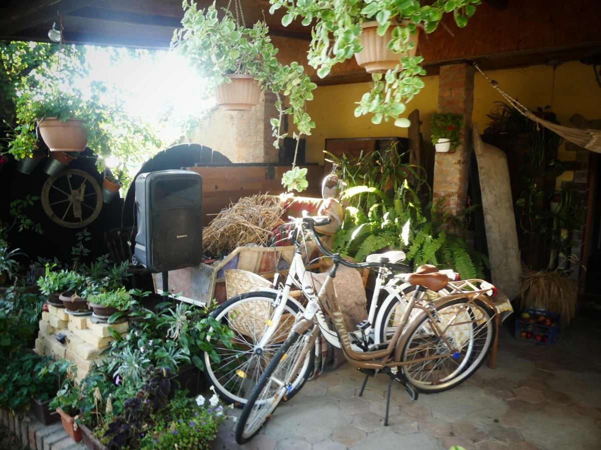 snašini kućari – gradište čuva svoju dušu (14)