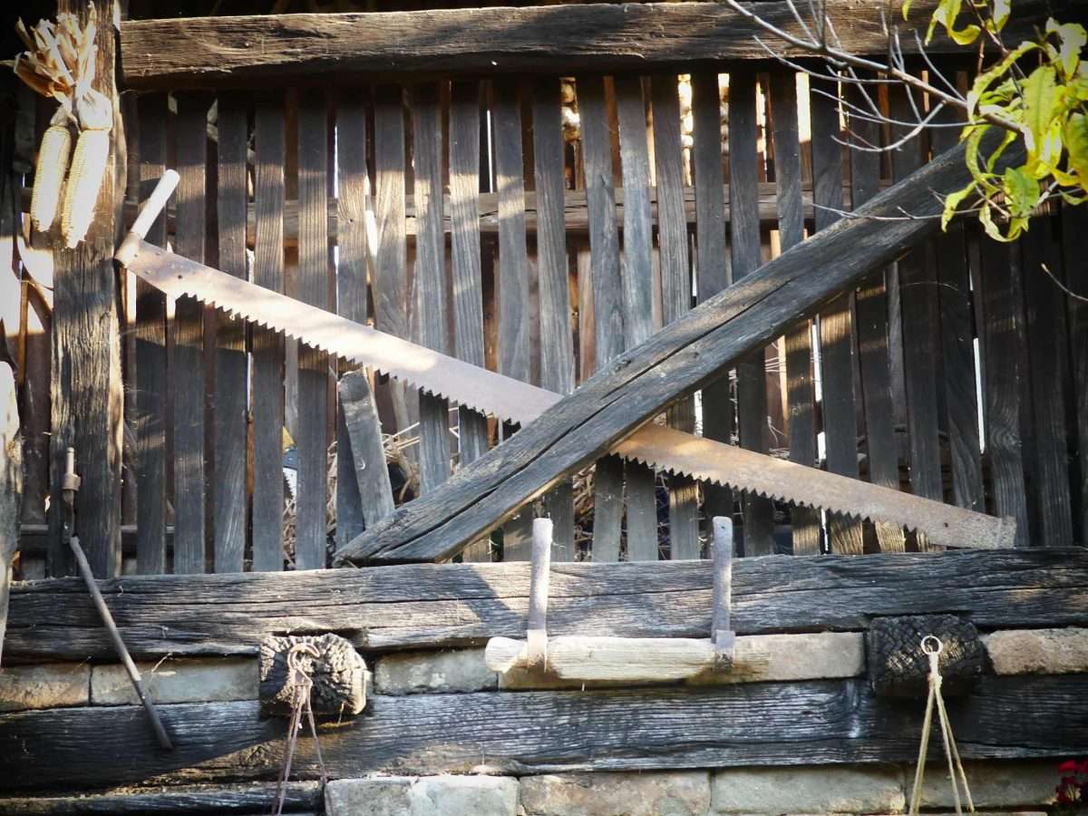 snašini kućari – gradište čuva svoju dušu (16)