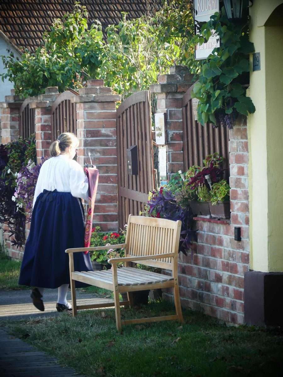 snašini kućari – gradište čuva svoju dušu (2)