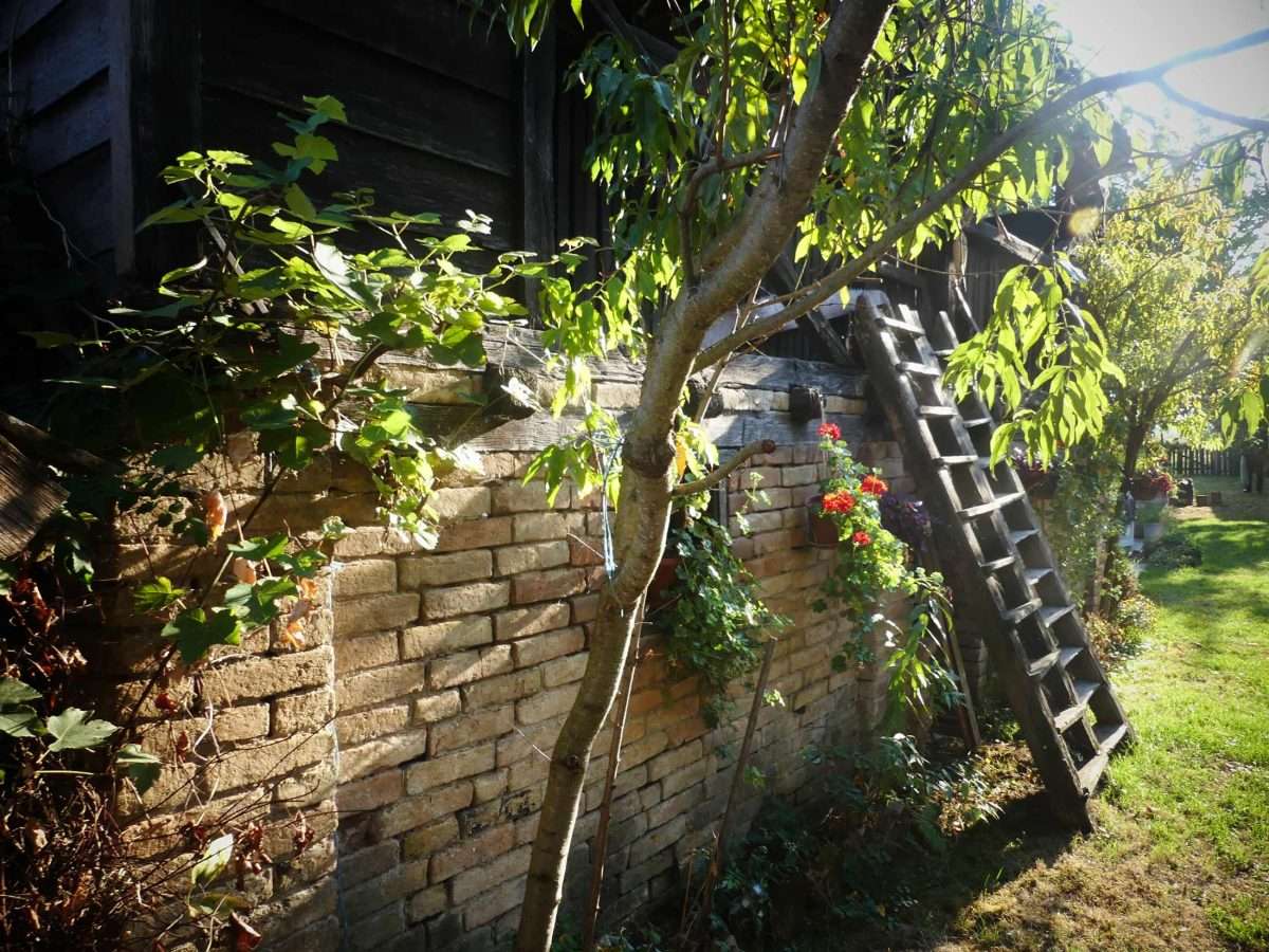 snašini kućari – gradište čuva svoju dušu (9)