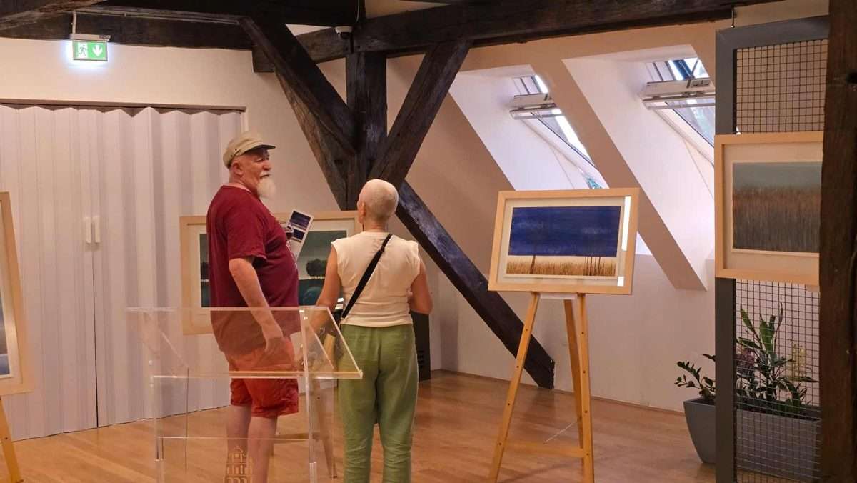 tihe slike akademskog slikara siniše reberskog (9)