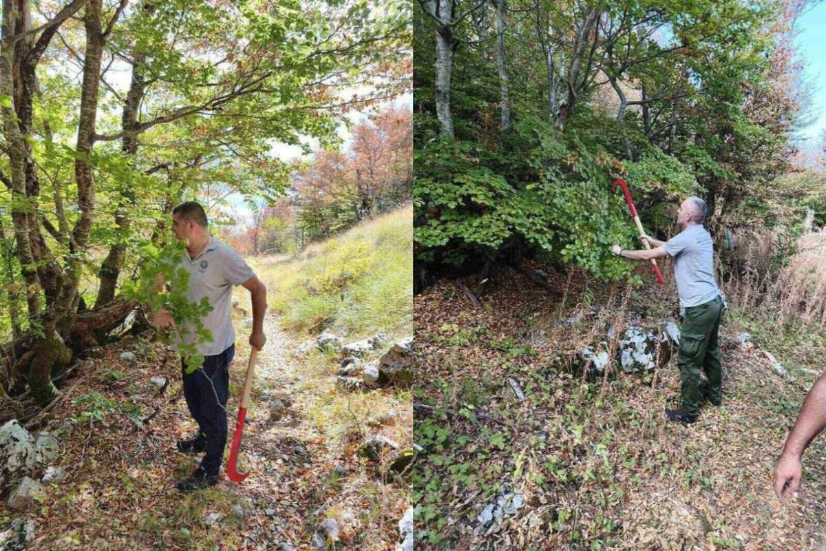 učesnici radne akcije uklanjaju izraslo rastinje i ponovo otvaraju staru lovćensku stazu. foto božidar proročić.