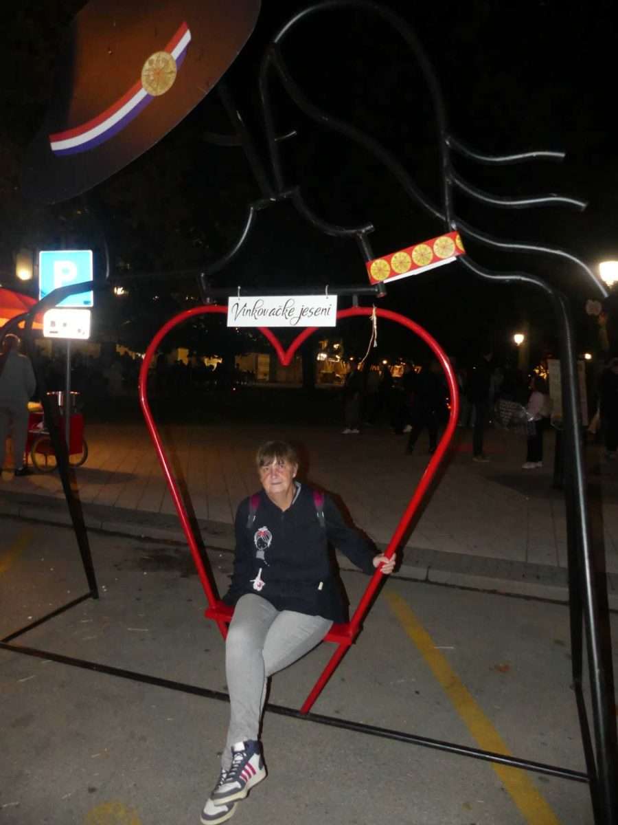 vinkovci u ritmu jeseni tradicija, tambure i večer koju je otvorio jakov jozinović (11)