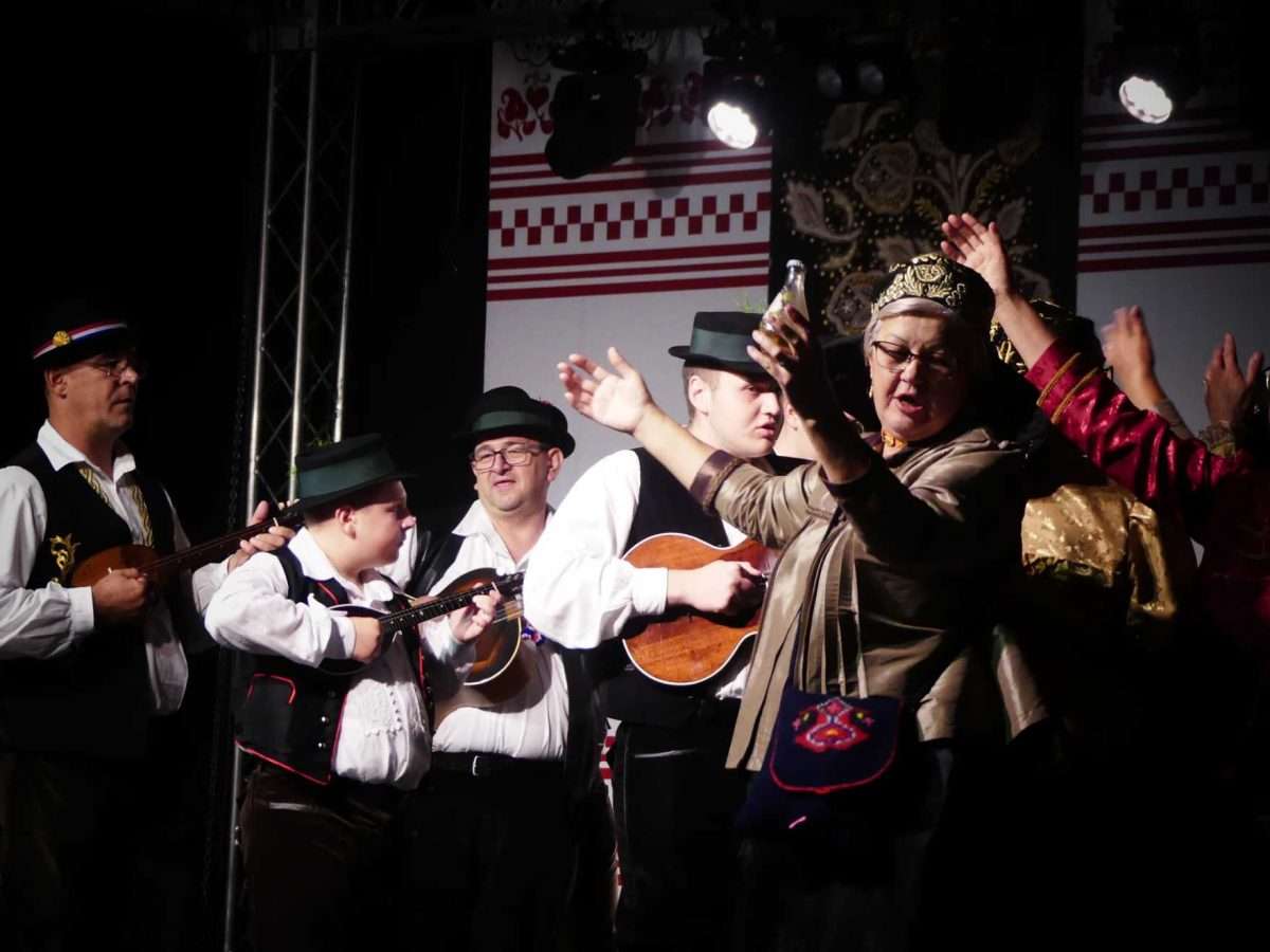 vinkovci u ritmu jeseni tradicija, tambure i večer koju je otvorio jakov jozinović (7)
