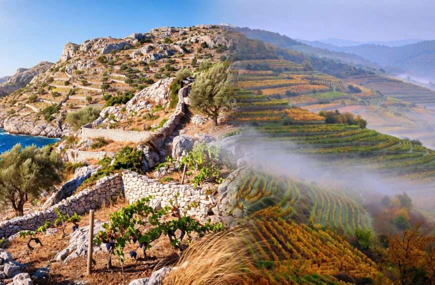 arhitektura vinograda! lijevo surov, suncem sprženi dalmatinski krš s maslinama i suhozidima uz duboko plavetnilo jadrana, desno magloviti amfiteatralni brežuljci plešivice i zagorja meta ai foto