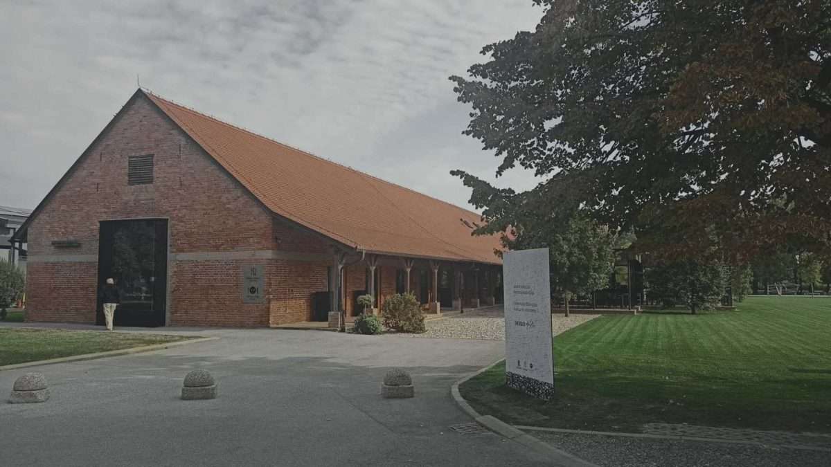 Čovjek koji je promijenio Čepin (1)