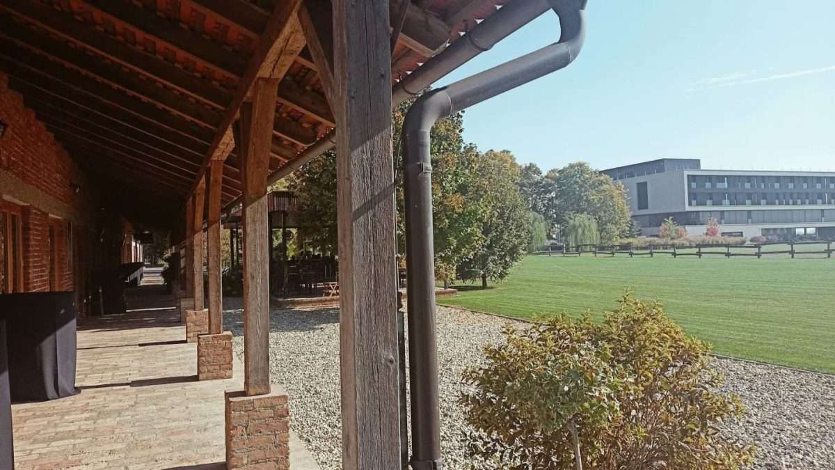 Čovjek koji je promijenio Čepin (4)