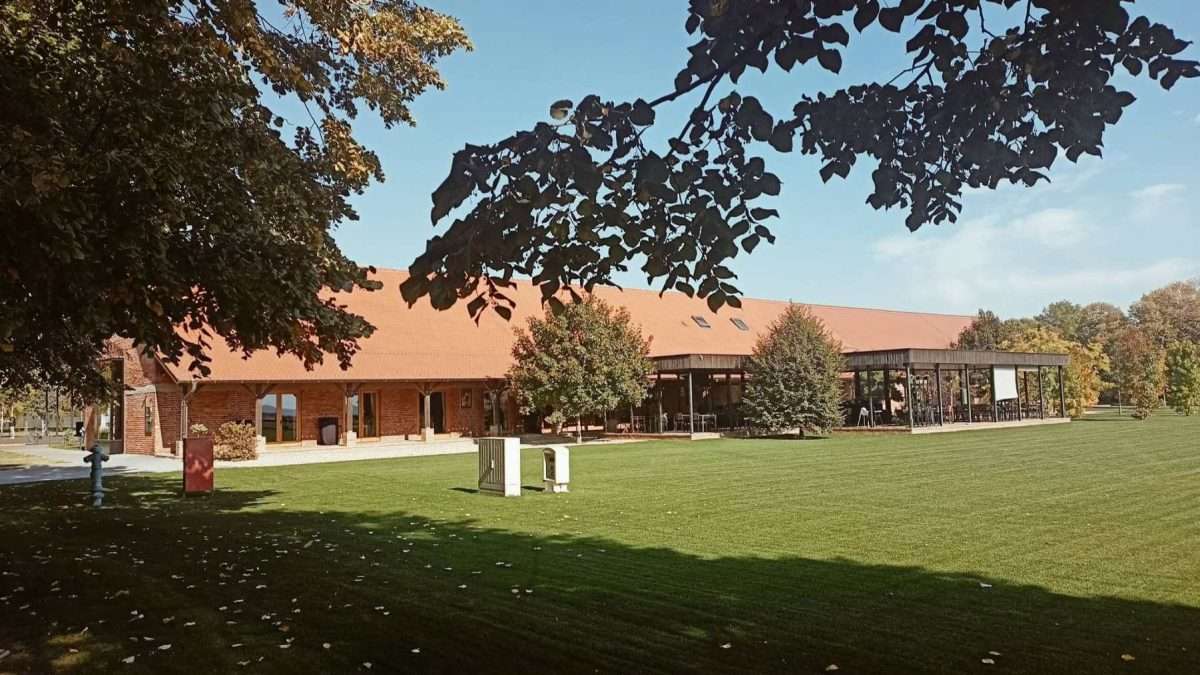 Čovjek koji je promijenio Čepin (9)